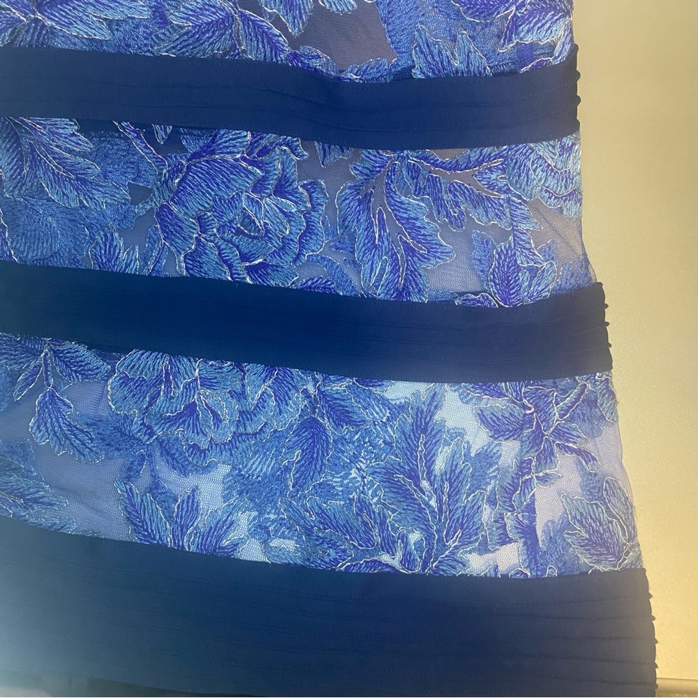EUC TADASHI SHOJI YASMIN GOWN - SIZE 10 - Picture 6 of 15
